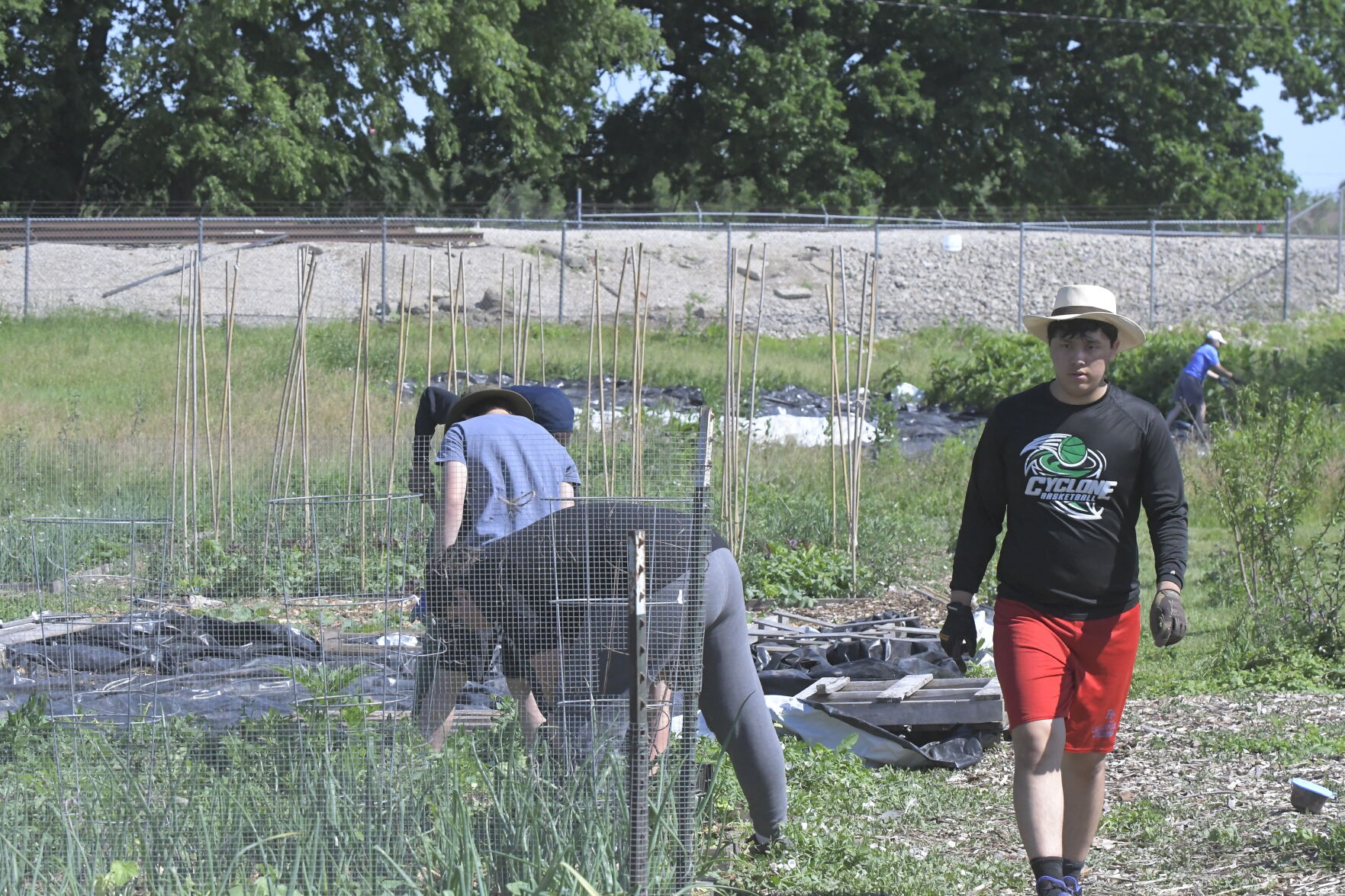 Sunnyside Community Garden and Food Forest